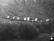 1859 wagon train. Photo by Albert Bierstadt.