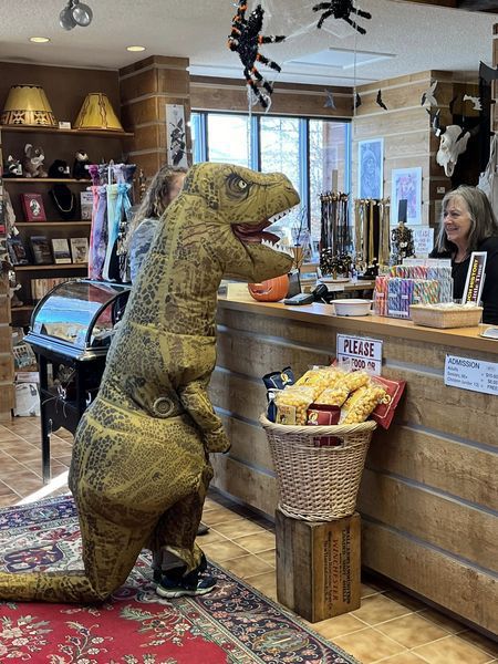 T-Rex at the Museum. Photo by Mindi Crabb.