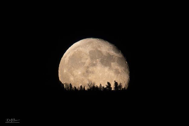 Moon Rise - late September 2024. Photo by Dave Bell.