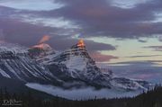 Icefields Sunrise. Photo by Dave Bell.