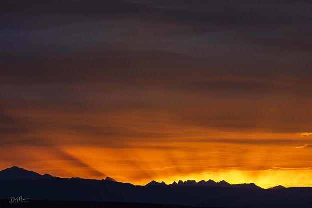 . Photo by Dave Bell.