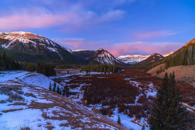 Color Galore. Photo by Dave Bell.