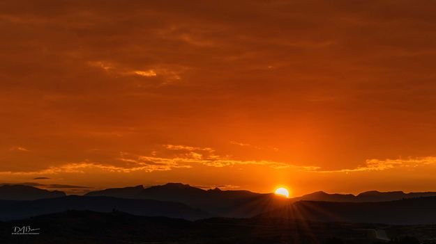 Smoky Sunrise Orange. Photo by Dave Bell.