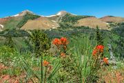Wyoming Peak. Photo by Dave Bell.