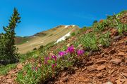 High Altitude. Photo by Dave Bell.