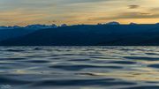 Beautiful Sunrise. Photo by Dave Bell.