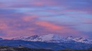 Beautiful Color. Photo by Dave Bell.