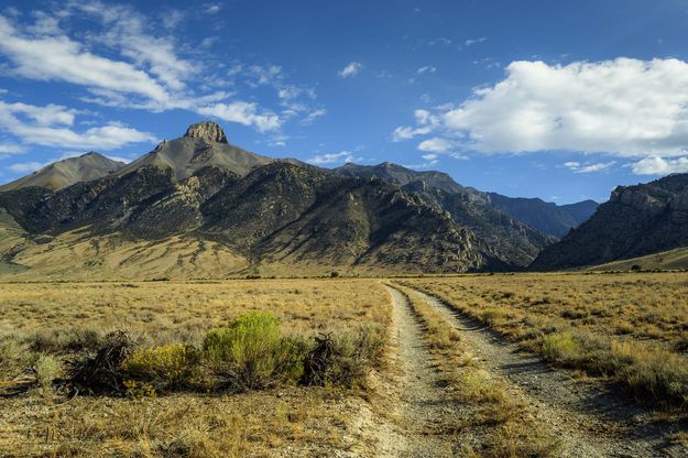 Mt. McCaleb. Photo by Dave Bell.