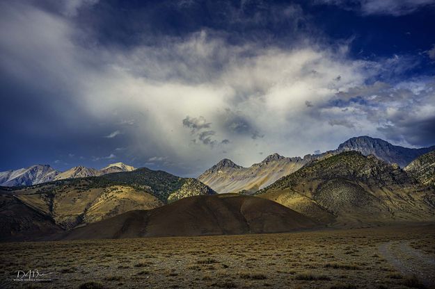 Lost River Range Beauty. Photo by Dave Bell.