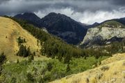 Pass Creek Road. Photo by Dave Bell.