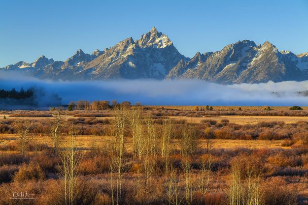 Fall Sunrise Light On Willow Flats. Photo by Dave Bell.