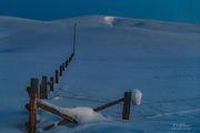 Untracked Fenceline. Photo by Dave Bell.