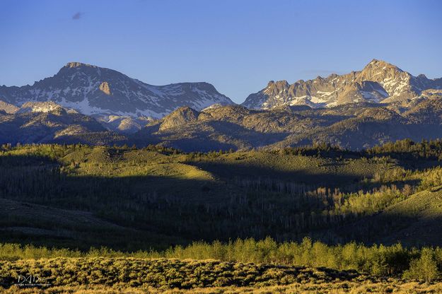 Early Evening Light On Jackson and Harrower. Photo by Dave Bell.