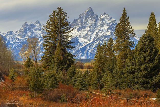 Favorite View. Photo by Dave Bell.