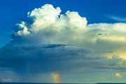 Spitting Out Rainbows. Photo by Dave Bell.