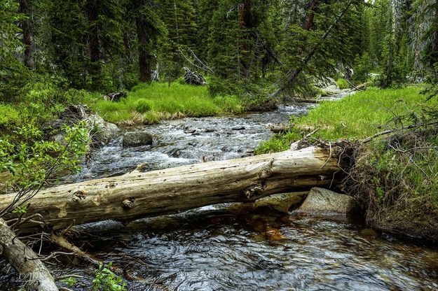 Sweetwater River. Photo by Dave Bell.