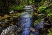 Sweetwater River. Photo by Dave Bell.