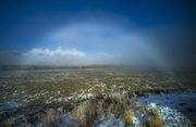 Valley Fog Bow. Photo by Dave Bell.