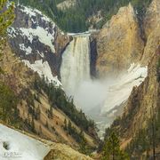 Yellowstone Opening Weekend-May 18, 2020