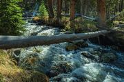Sweetwater Gap Hike-June 7