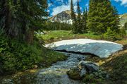 Sjhoberg Creek Hike-June 25