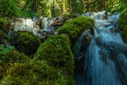 Fish Creek To North Fish Creek-July 13