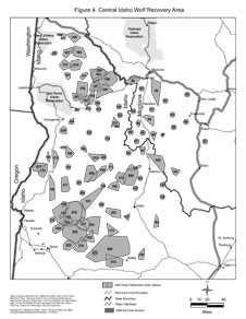 Central Idaho Wolf Recovery Area