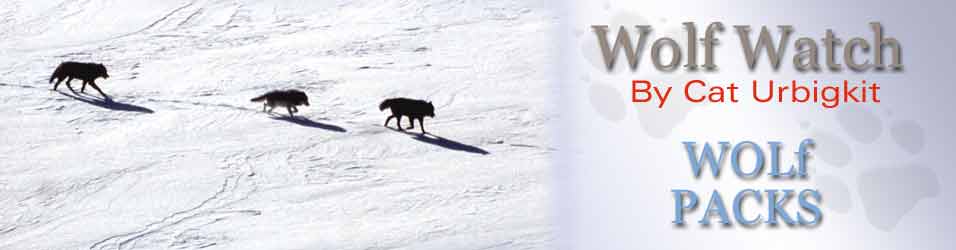 Wolf Watch, by Cat Urbigkit, Pinedale Online! NPS Photo.