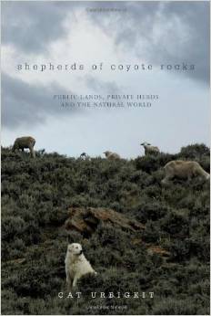 Shepherds of Coyote rocks