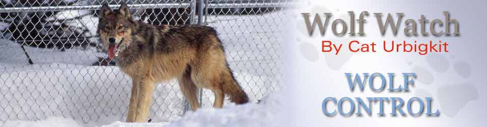 Wolf Watch, by Cat Urbigkit, Pinedale Online! NPS Photo.