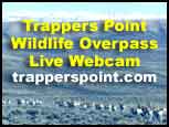 Trapper's Point Wildlife Overpass Live Webcam