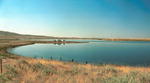 Soda Lake iin summer