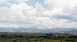 Cloud cover helping with firefighting efforts