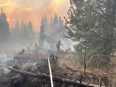 Mop up on Leeds Creek - Pack Trail Fire. Photo courtesy Teton Interagency Fire.