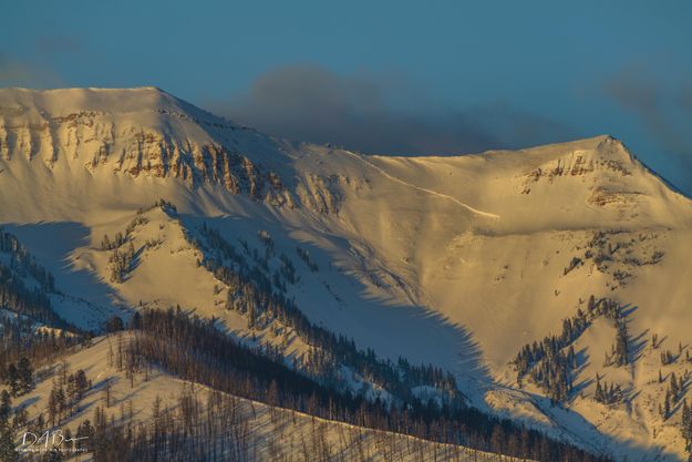 Fault line. Photo by Dave Bell.