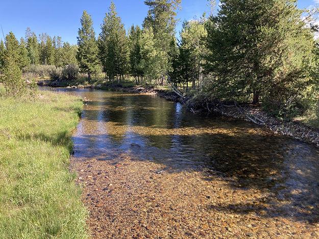 Pine Creek. Photo by Dawn Ballou, Pinedale Online.