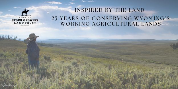 Inspired by the Land. Photo by Wyoming Stock Growers Land Trust.