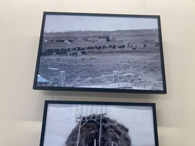 Ranching. Photo by Albert Sommers.