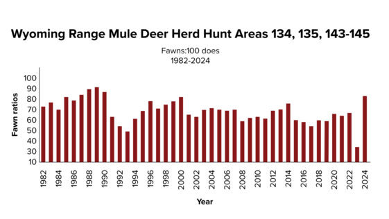 2024 Fawns. Photo by Wyoming Game & Fish.