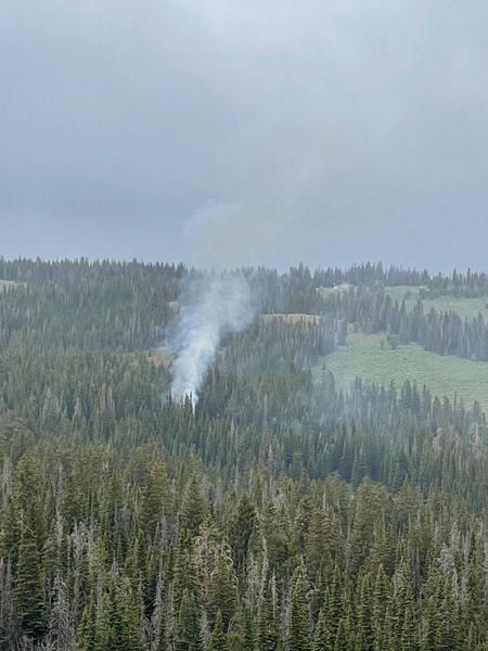 Pine Grove fire. Photo by Bridger-Teton National Forest.