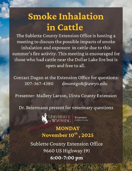 Smoke in Cattle. Photo by .