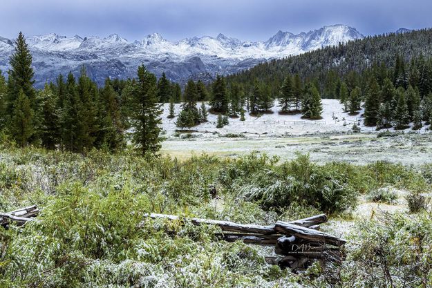 Elkhart Park Early Snow-August 26. Photo by Dave Bell.