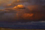 Storm Cloud Red. Photo by Dave Bell.