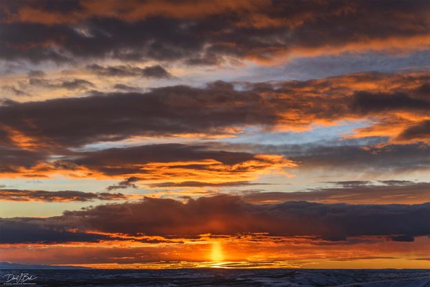 . Photo by Dave Bell.