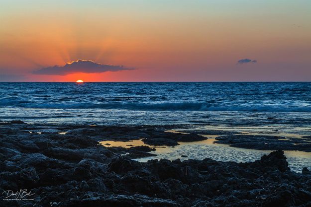 Last Gasp. Photo by Dave Bell.