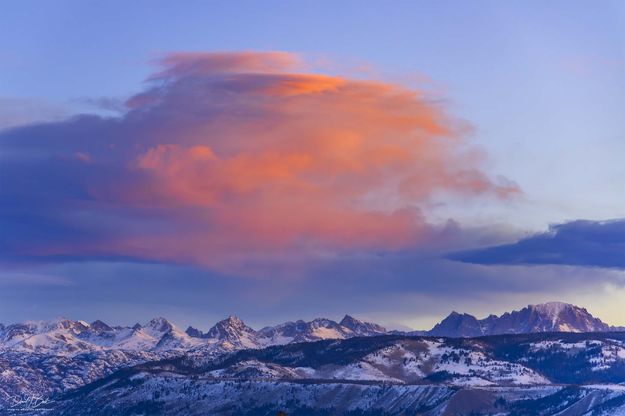 . Photo by Dave Bell.