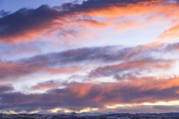 . Photo by Dave Bell.