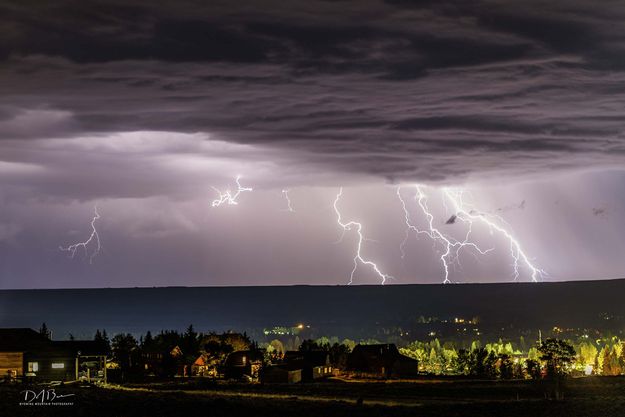 Multiple Fingers. Photo by Dave Bell.