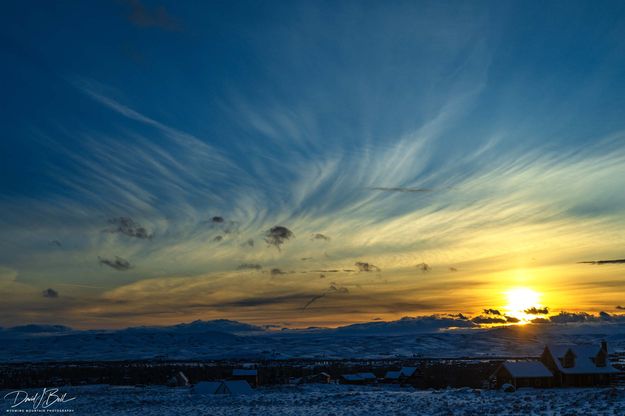 Mares Tail. Photo by Dave Bell.