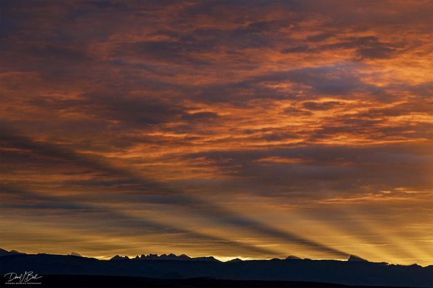 . Photo by Dave Bell.